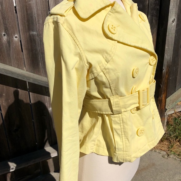 Yellow jacket - Picture 3 of 6